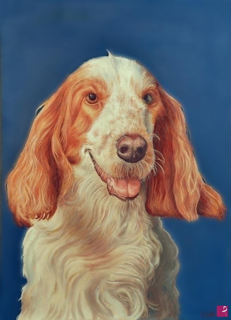 quadri in vendita online - "Russo spaniel"