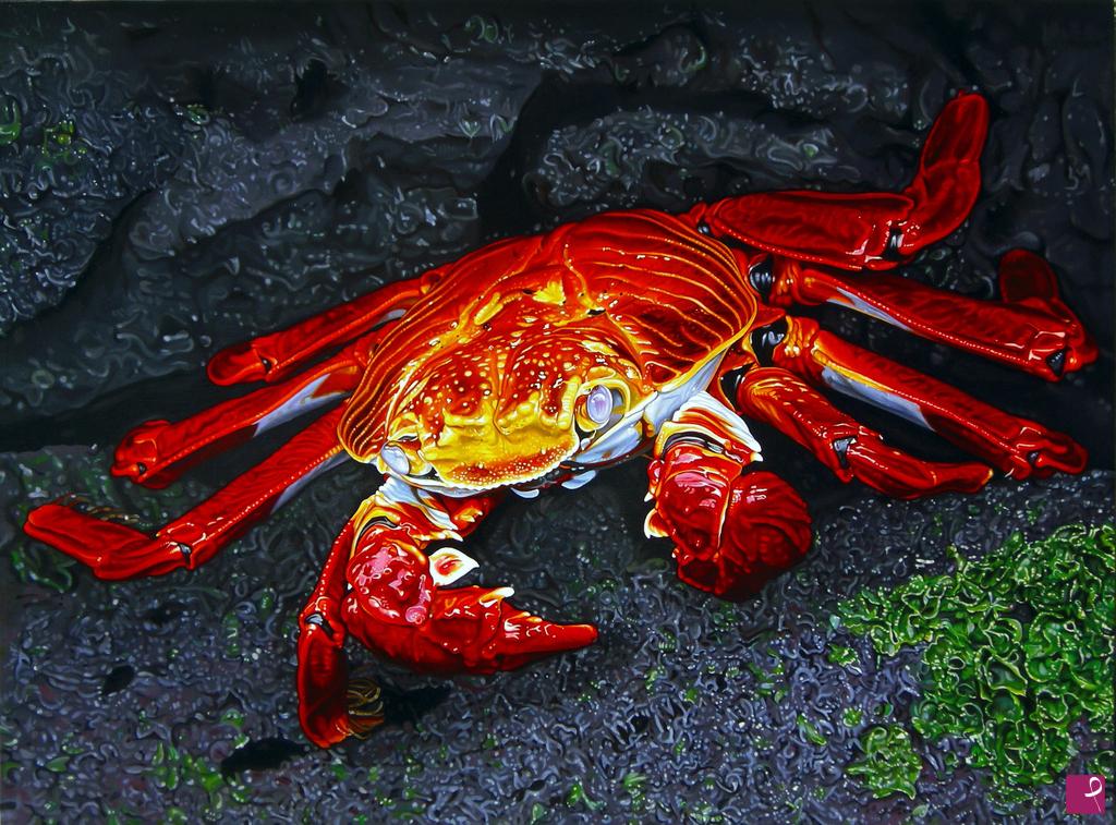 quadri in vendita online - "SALLY LIGHTFOOT CRAB"