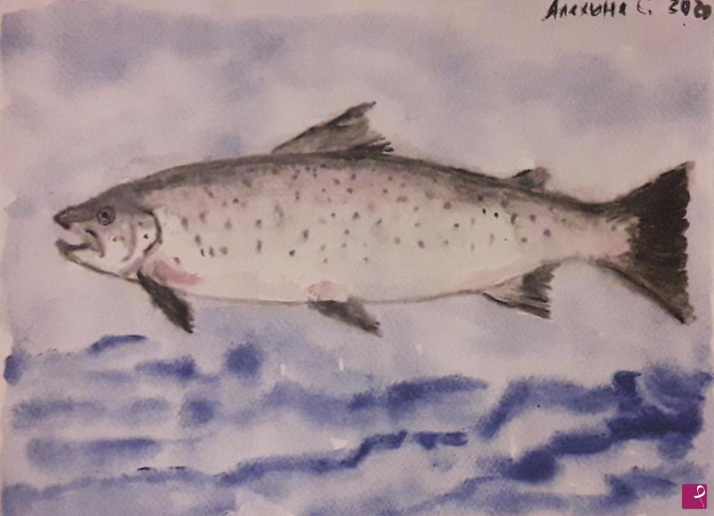 quadri in vendita online - Salmone
