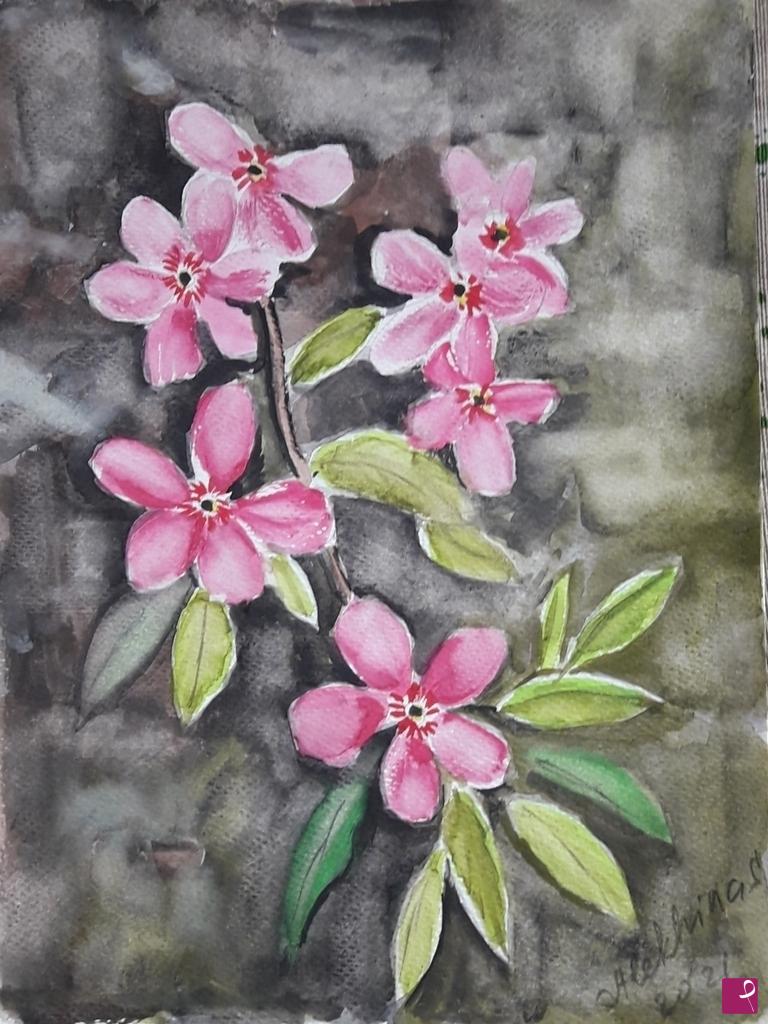 quadri in vendita online - Saponaria rossa