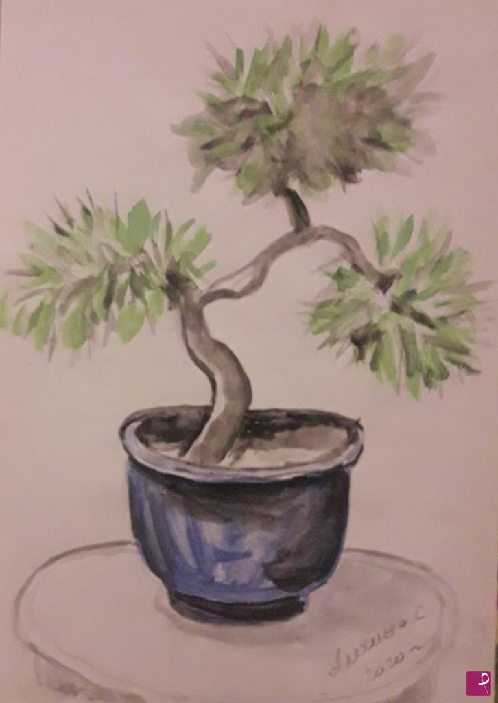 quadri in vendita online - Schizzo. BONSAI