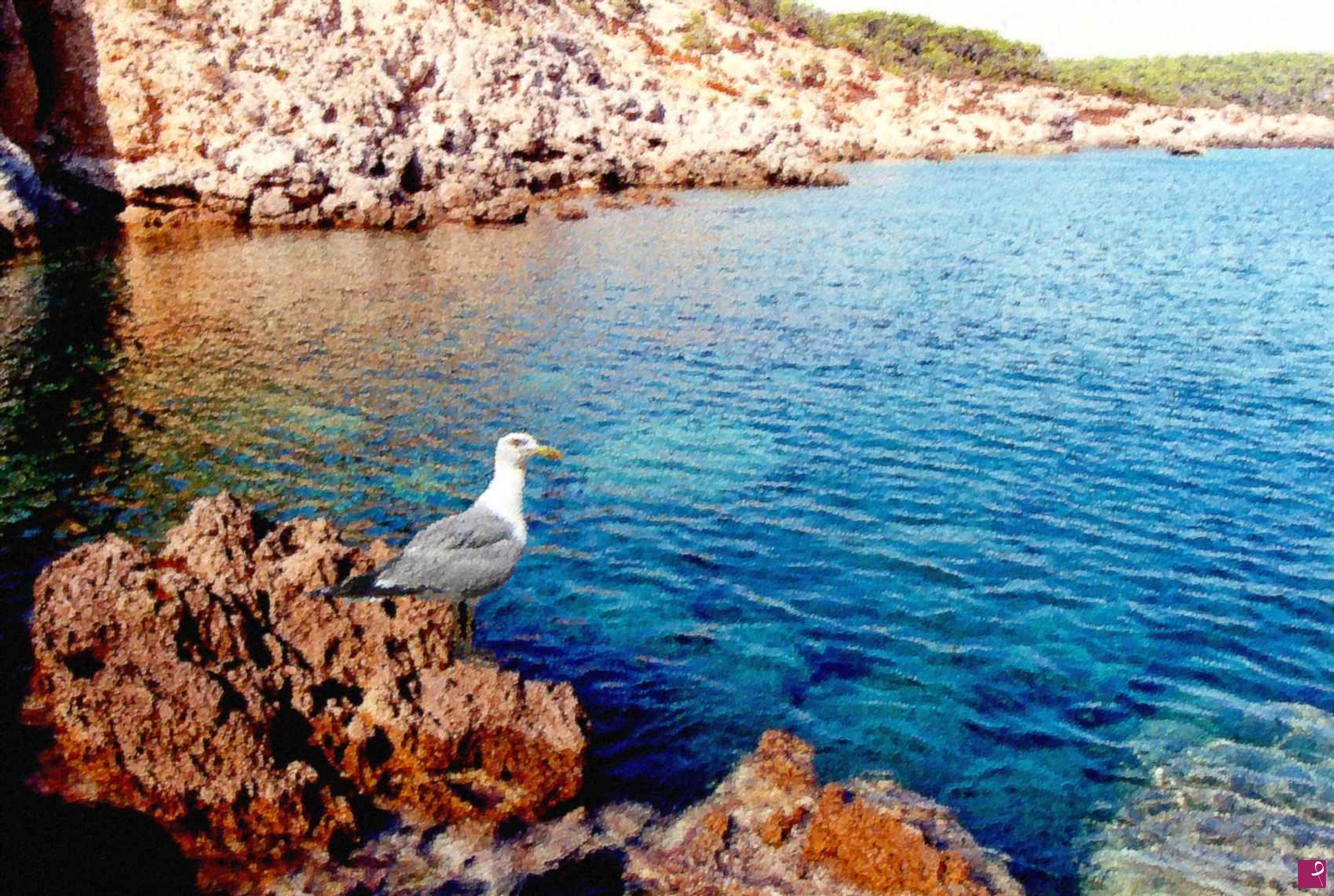 quadri in vendita online - Scorci di Sardegna
