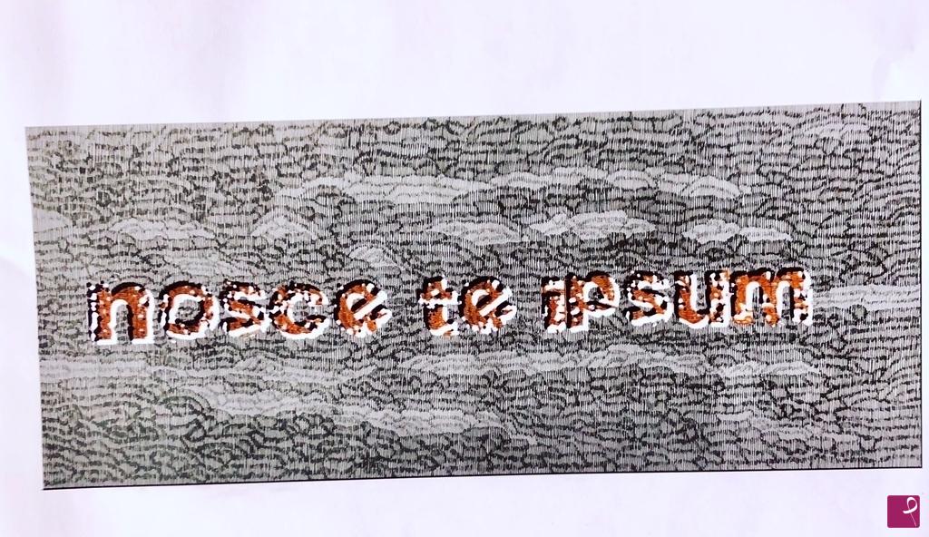 quadri in vendita online - Scritta NOSCE TE IPSUM 