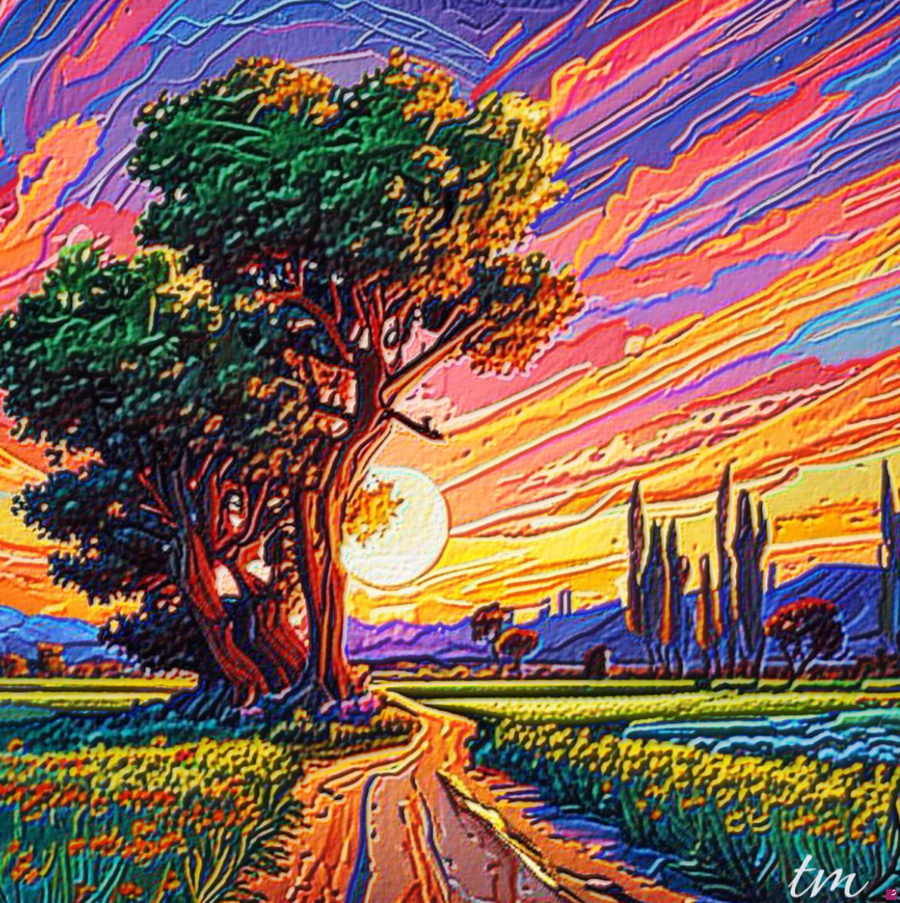 quadri in vendita online - SENTIERO DEL TRAMONTO 