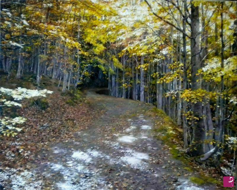 quadri in vendita online - Sentiero nel bosco