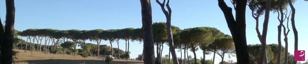 quadri in vendita online - SERIALITÀ