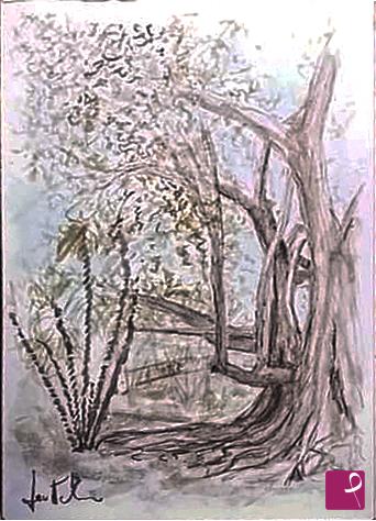 quadri in vendita online - serie acquerelli "il Ficus macrophylla di villa Bellini"