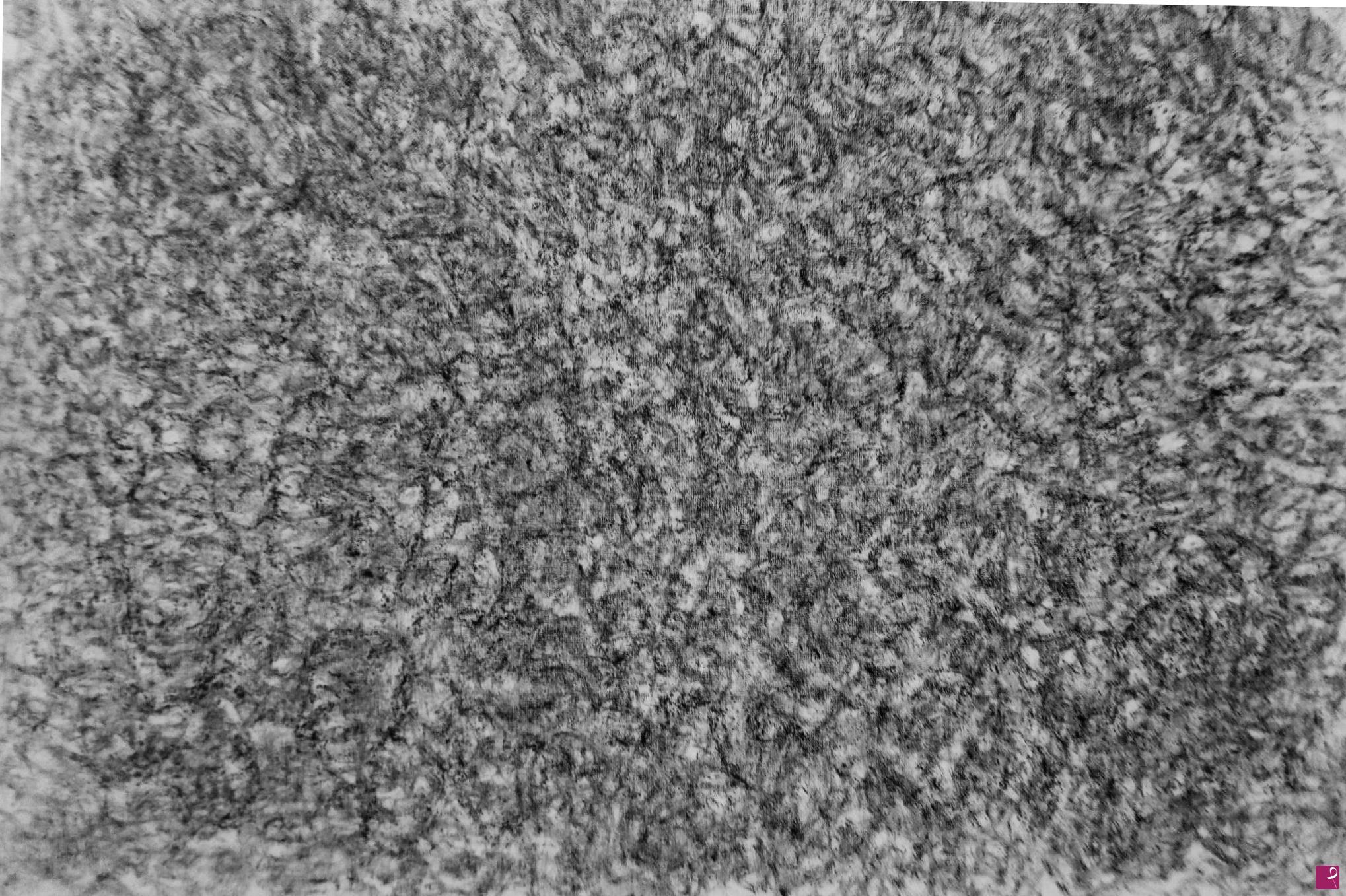 quadri in vendita online - Sguardo ponderato
