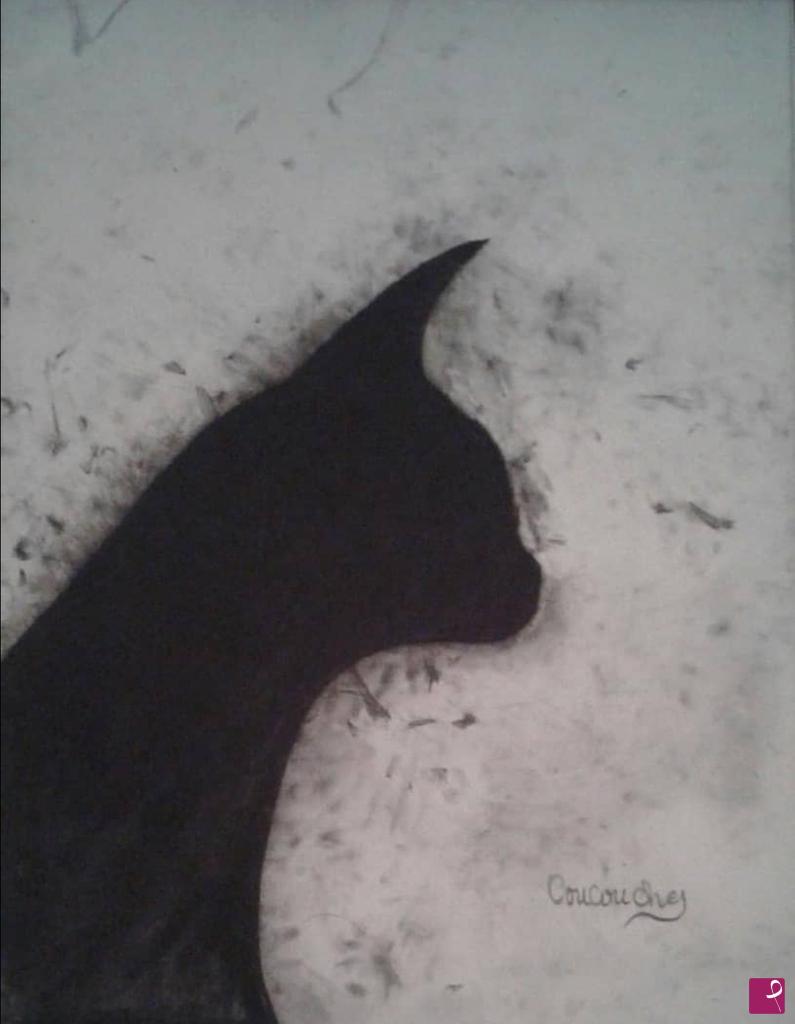 quadri in vendita online - ShadowCat 