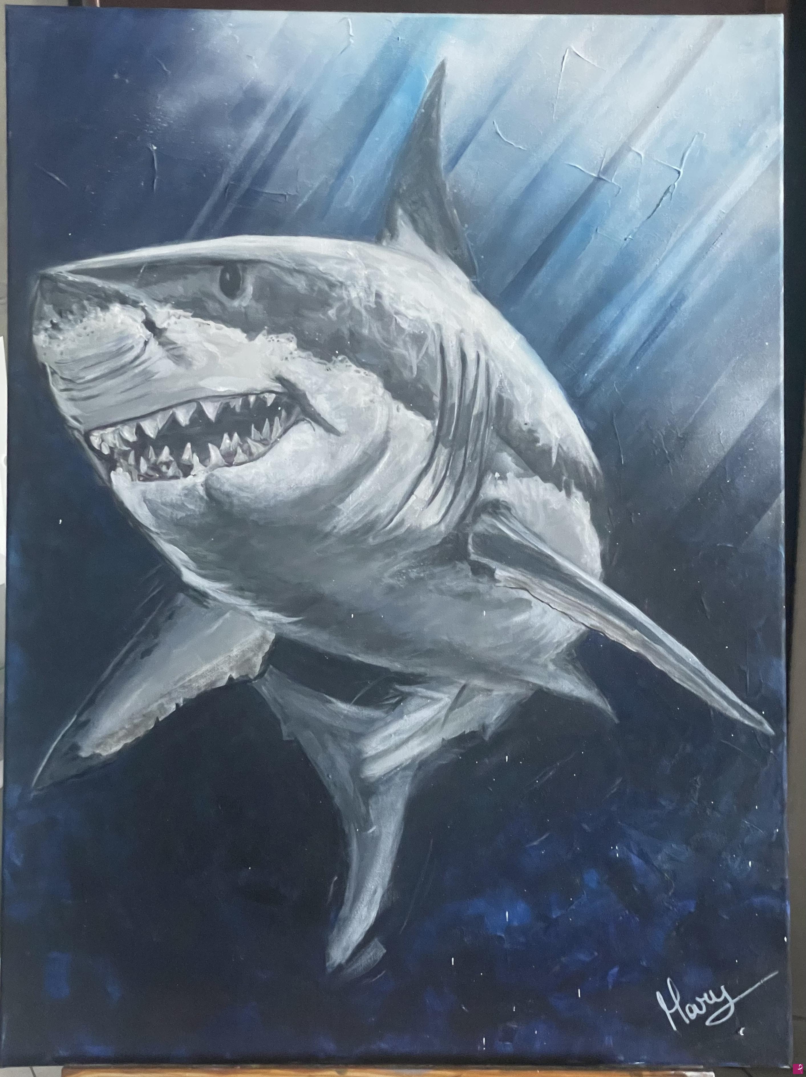 quadri in vendita online - Shark