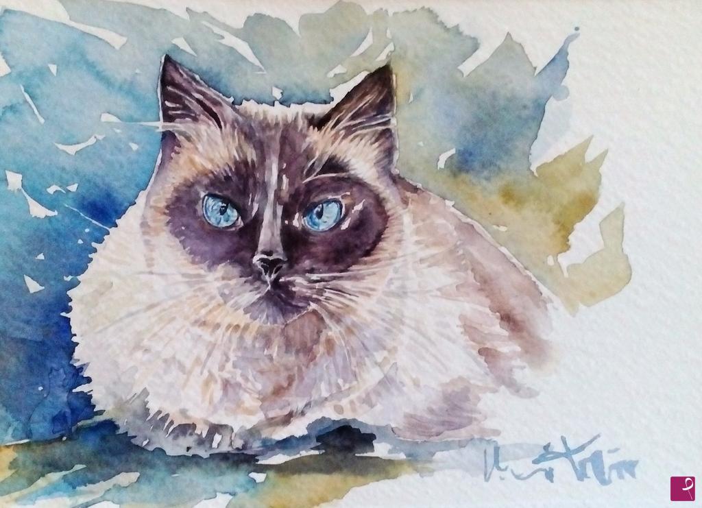 quadri in vendita online - siamese