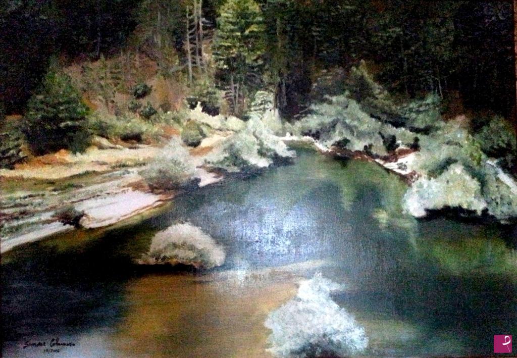 quadri in vendita online - SILA, LAGO DI CECITA 