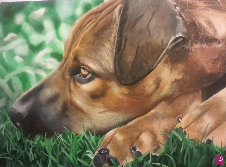 quadri in vendita online - Simba