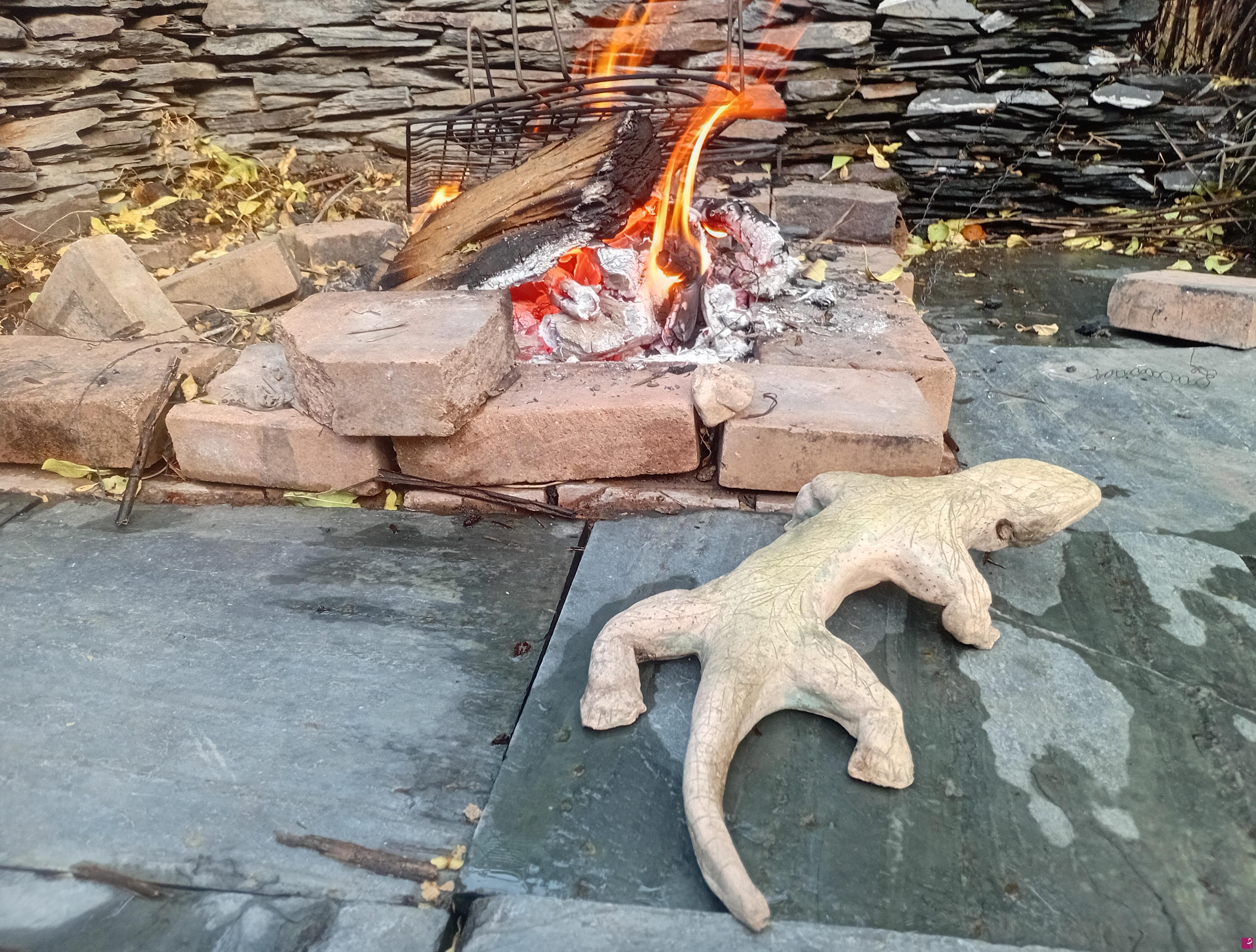 quadri in vendita online - Sirio, el Lagarto Geko de Terracota se acerca al fuego.