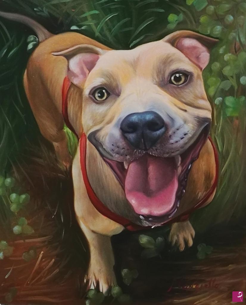 quadri in vendita online - Smiling dogs: Kyra