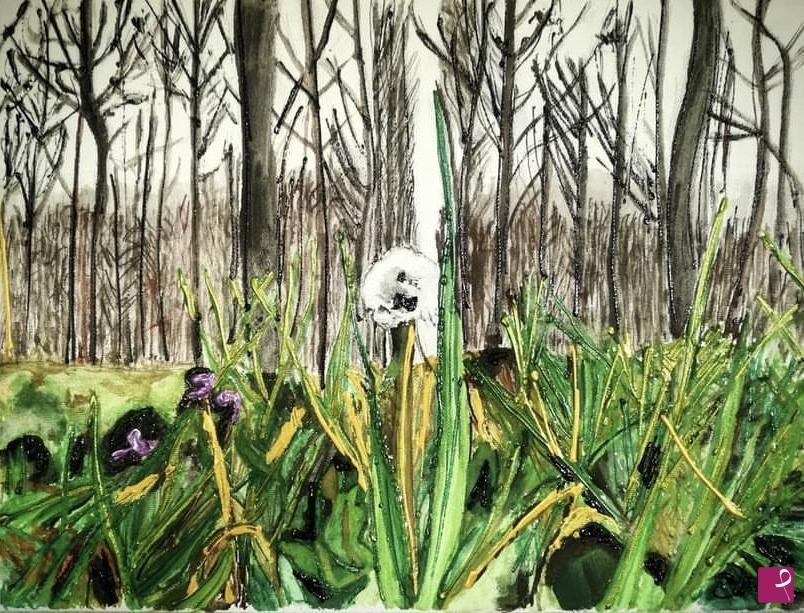 quadri in vendita online - Soffione davanti al bosco