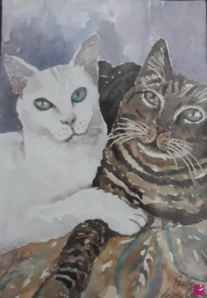 quadri in vendita online - sorellanza felina