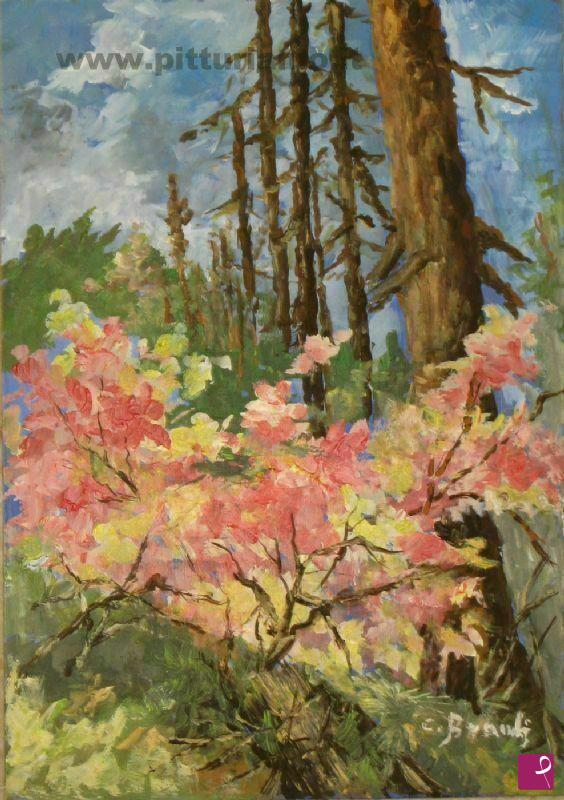 quadri in vendita online - sottobosco in fiore