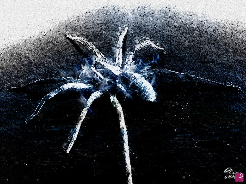 quadri in vendita online - Spider