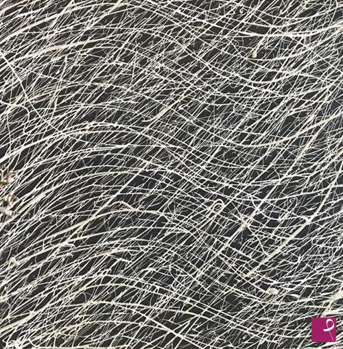 quadri in vendita online - Straw