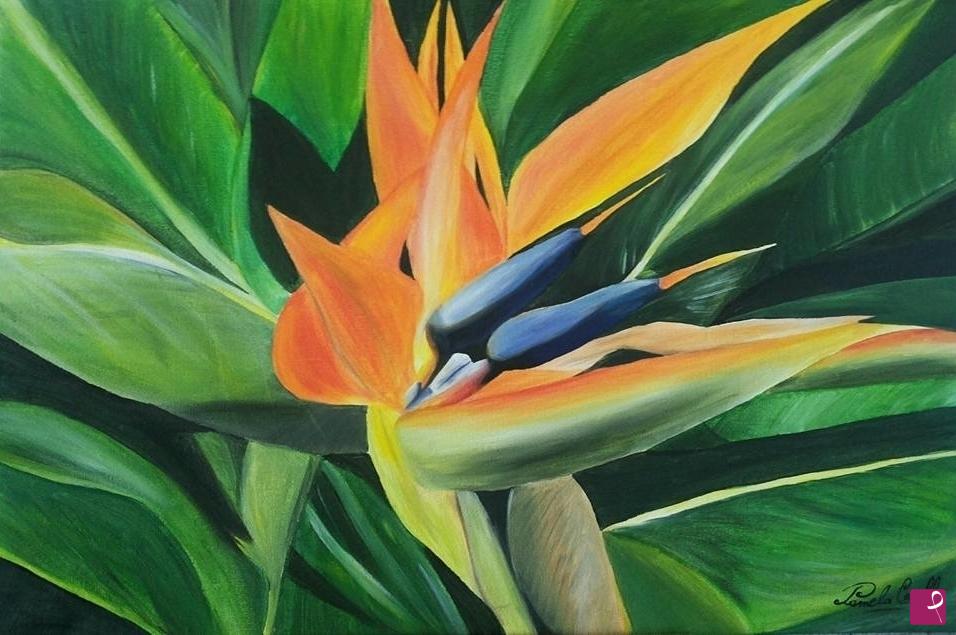 quadri in vendita online - Strelitzia