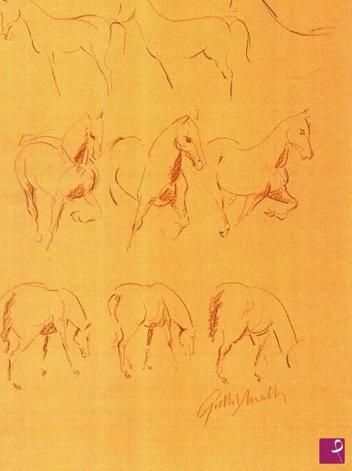 quadri in vendita online - Studi dei movimenti del cavallo