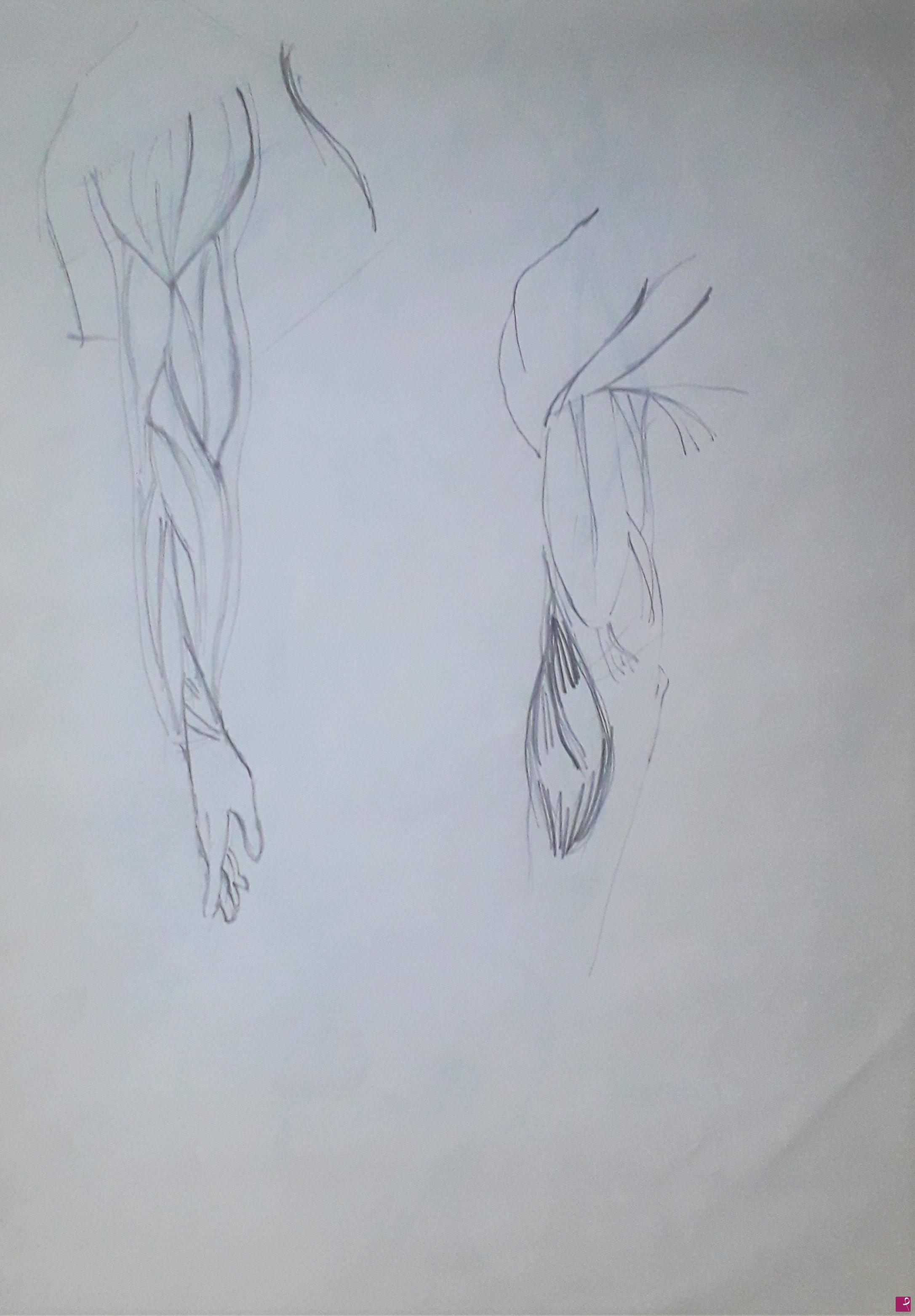quadri in vendita online - Studi di anatomia artistica n°4