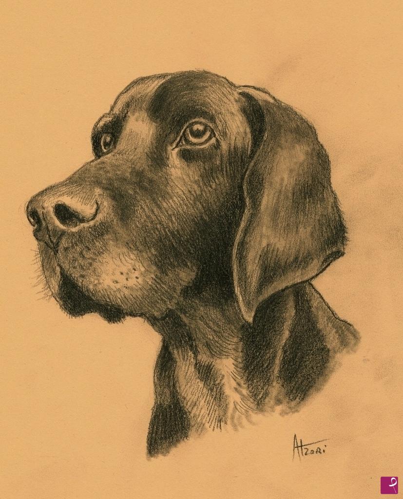 quadri in vendita online - Studio - cane