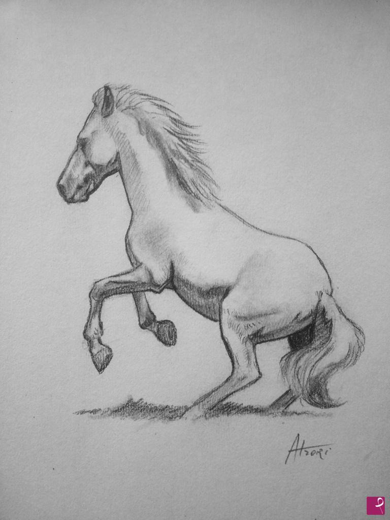 quadri in vendita online - studio - cavallo