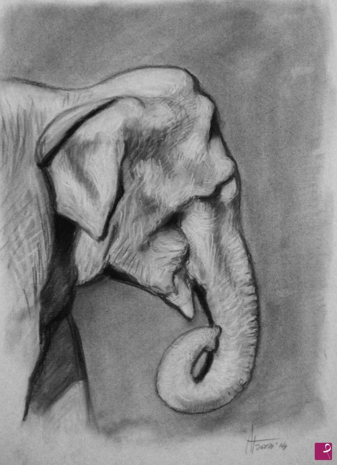 quadri in vendita online - Studio - elefante