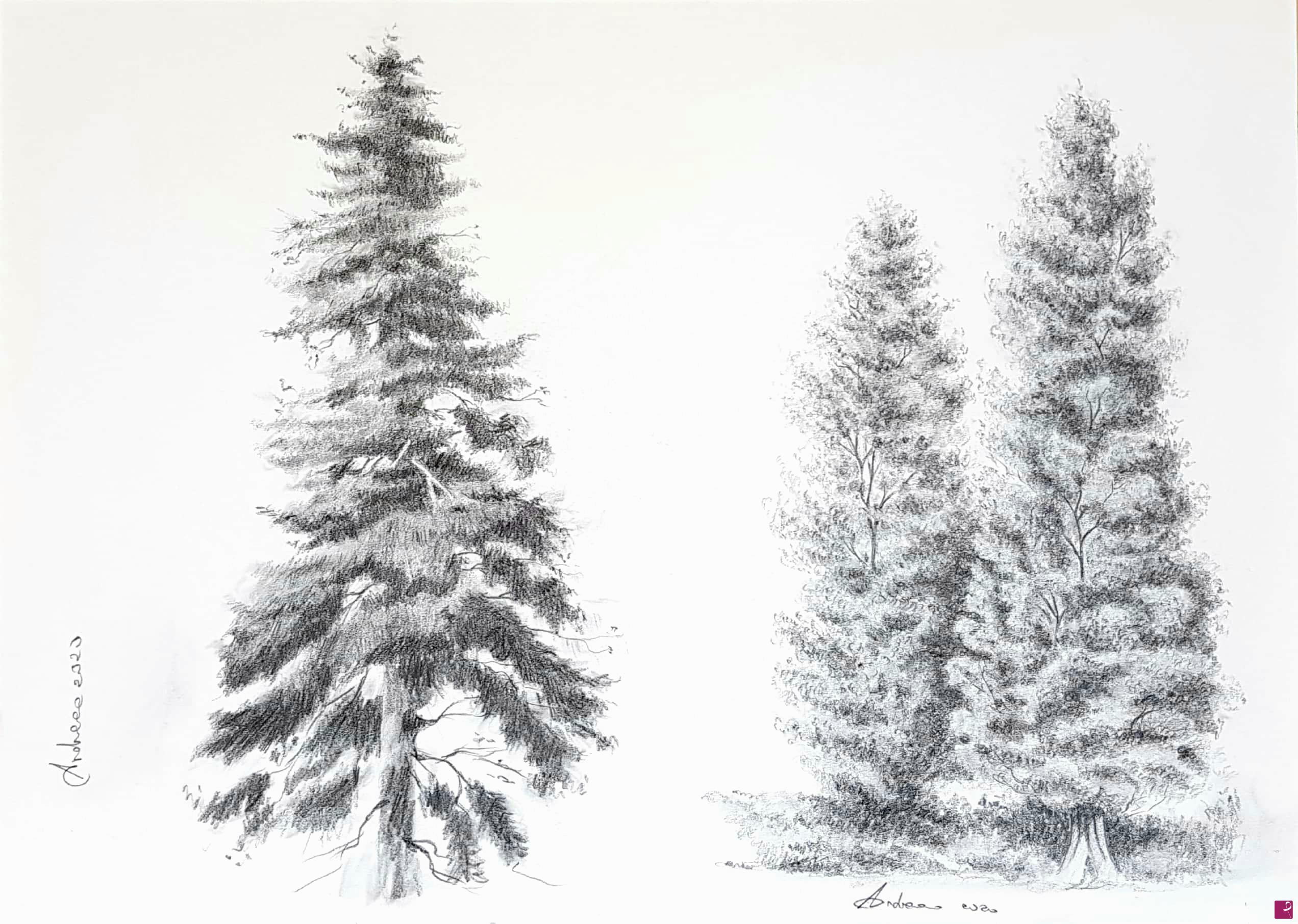 quadri in vendita online - Studio alberi