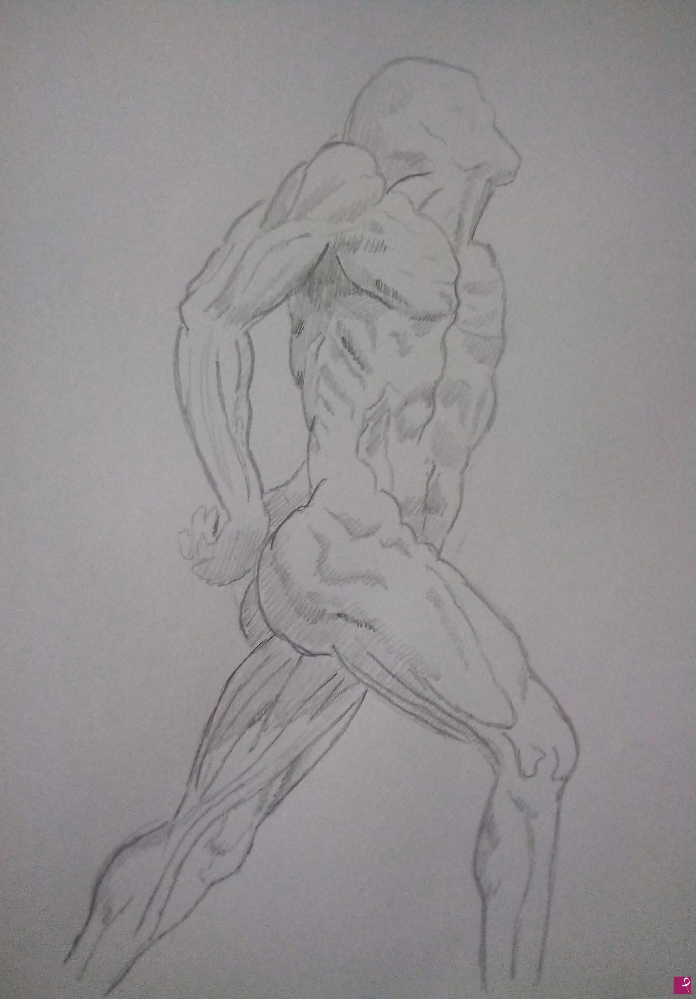 quadri in vendita online - Studio anatomico