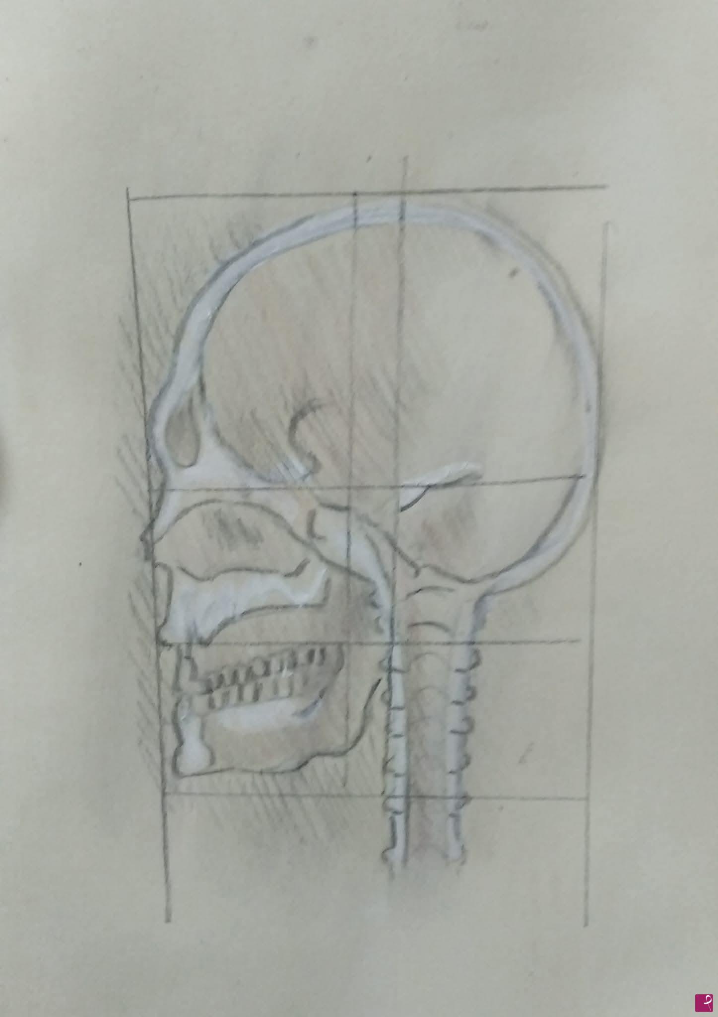 quadri in vendita online - Studio anatomico