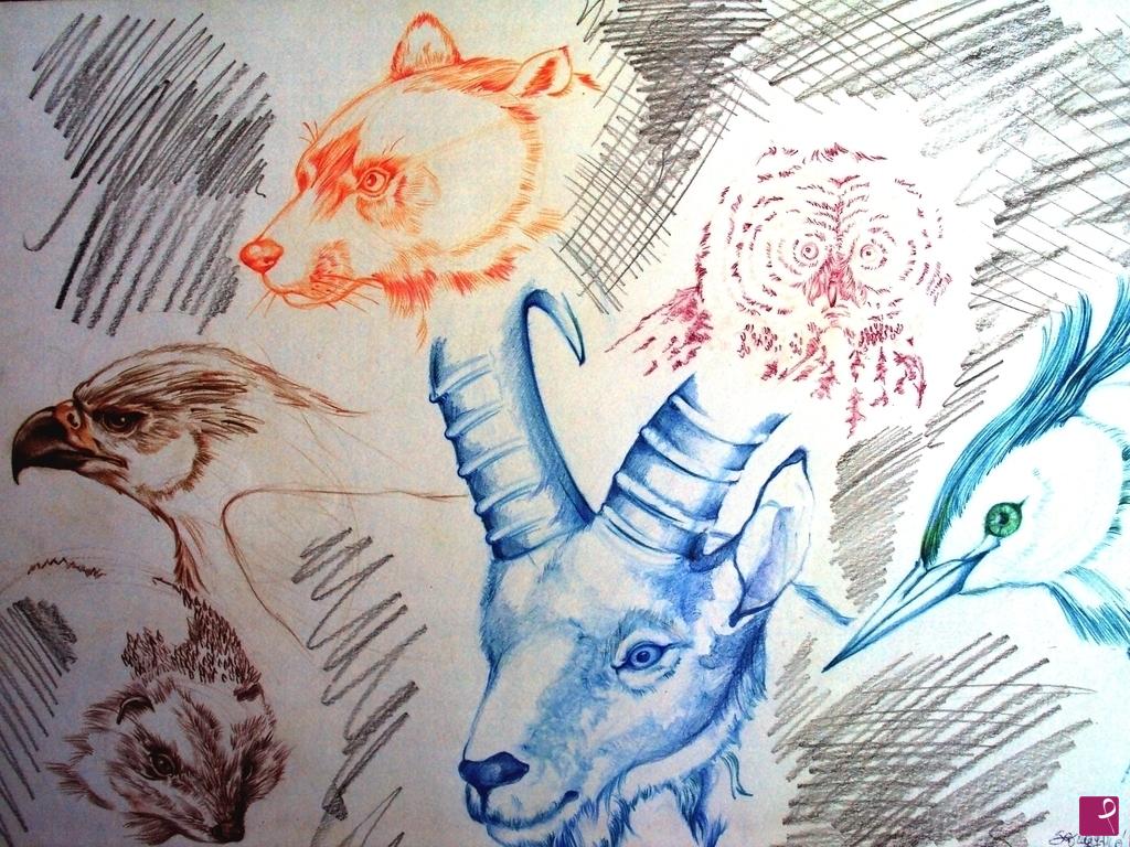 quadri in vendita online - studio anatomico animalista
