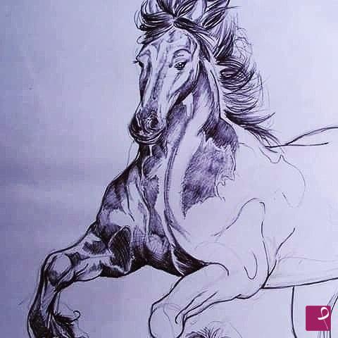 quadri in vendita online - Studio anatomico equestre 