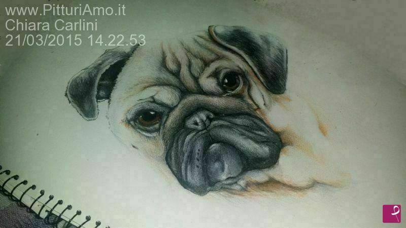 quadri in vendita online - Studio animali 1