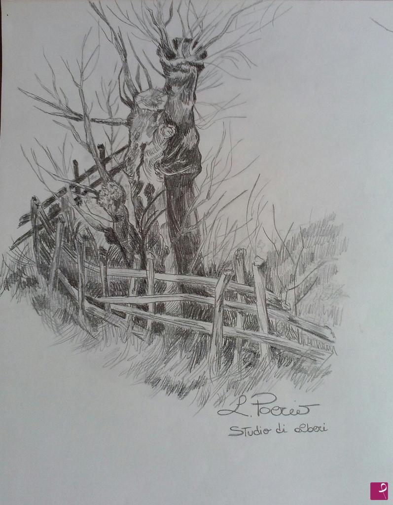 quadri in vendita online - STUDIO DI ALBERI