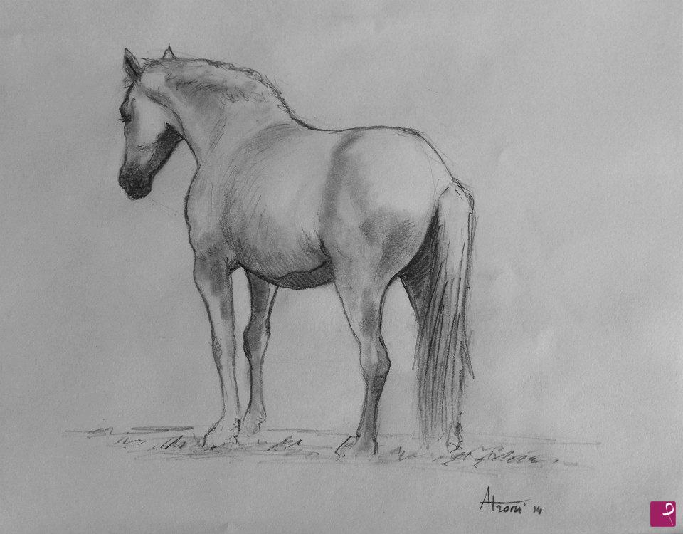 quadri in vendita online - Studio di cavallo