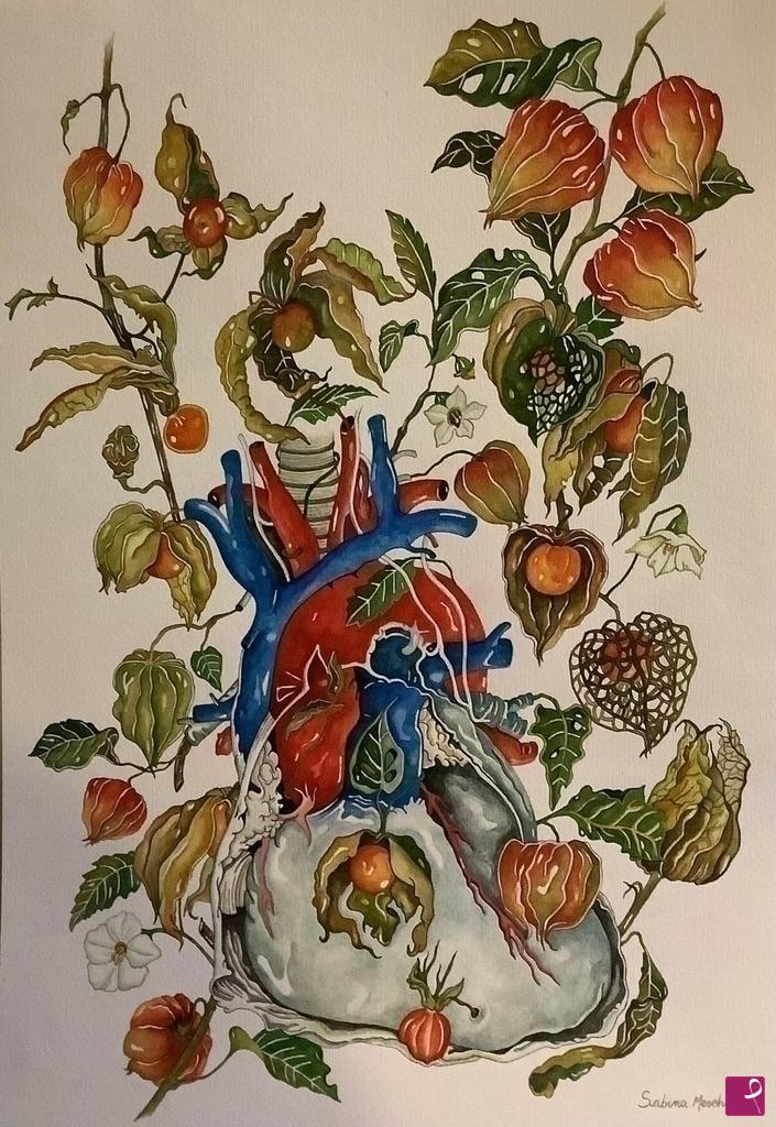 quadri in vendita online - Studio di Cuore umano con Alchechengi 