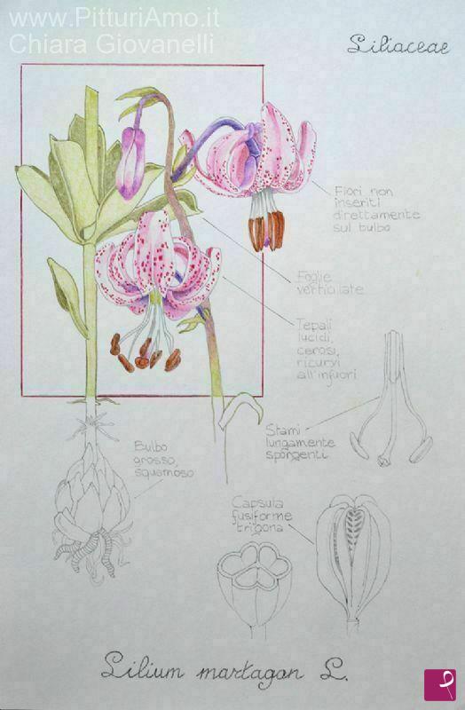 quadri in vendita online - Studio di Lilium