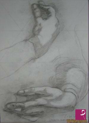 quadri in vendita online - "studio di mani" (falso d'autore-disegno L. da Vinci)