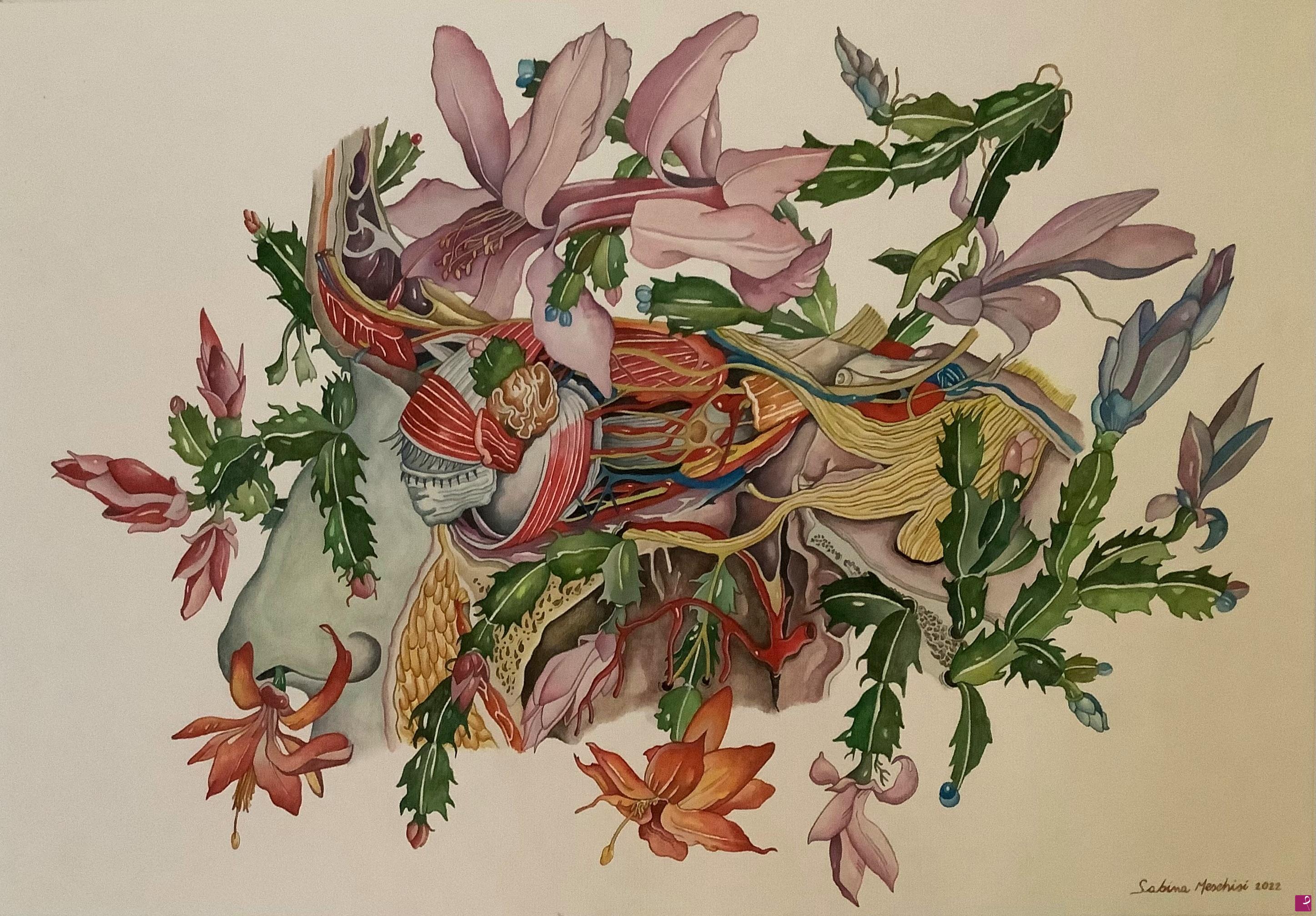 quadri in vendita online - Studio di occhio umano con pianta Schlumbergera 