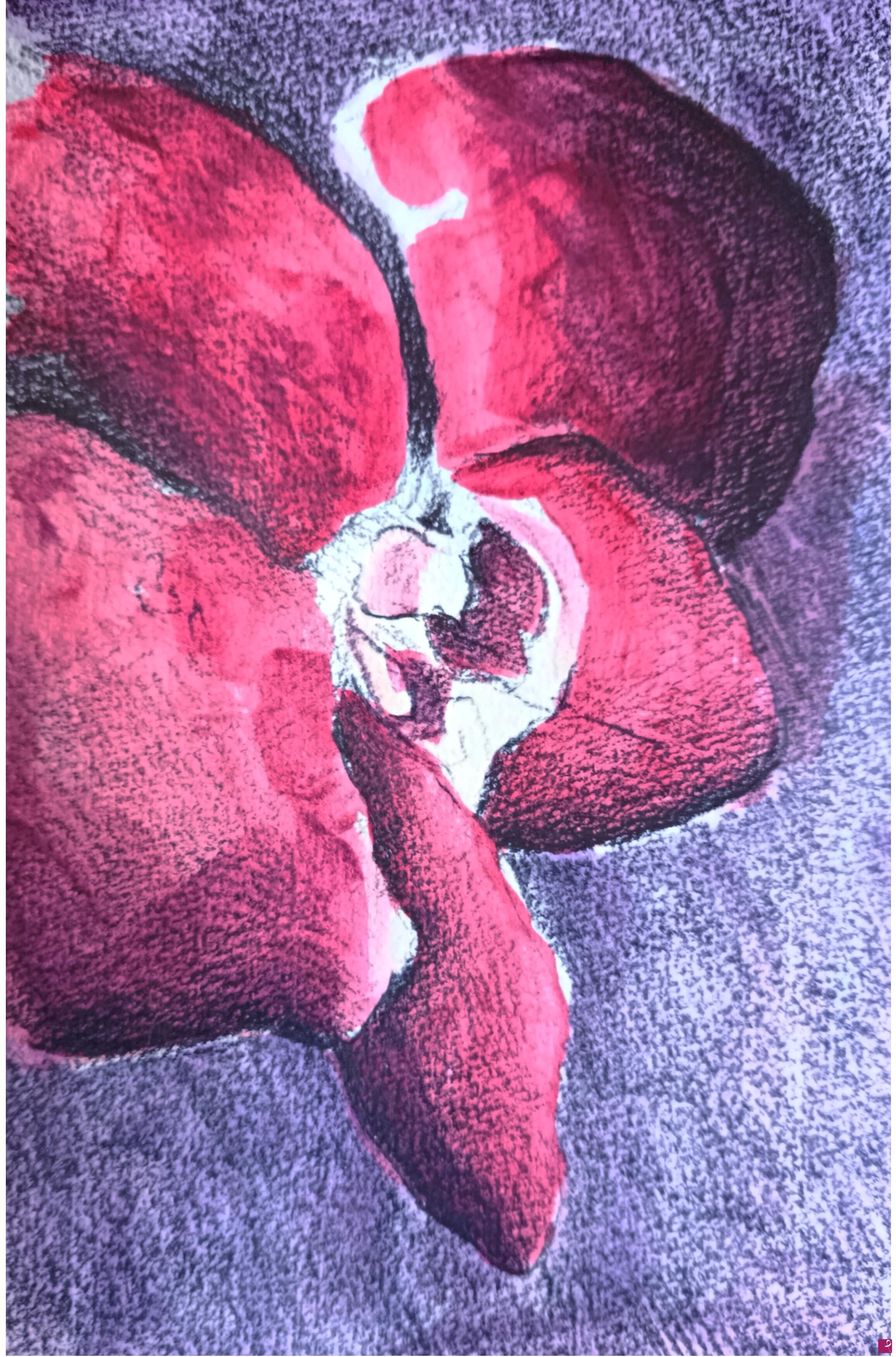quadri in vendita online - Studio di orchidea 1
