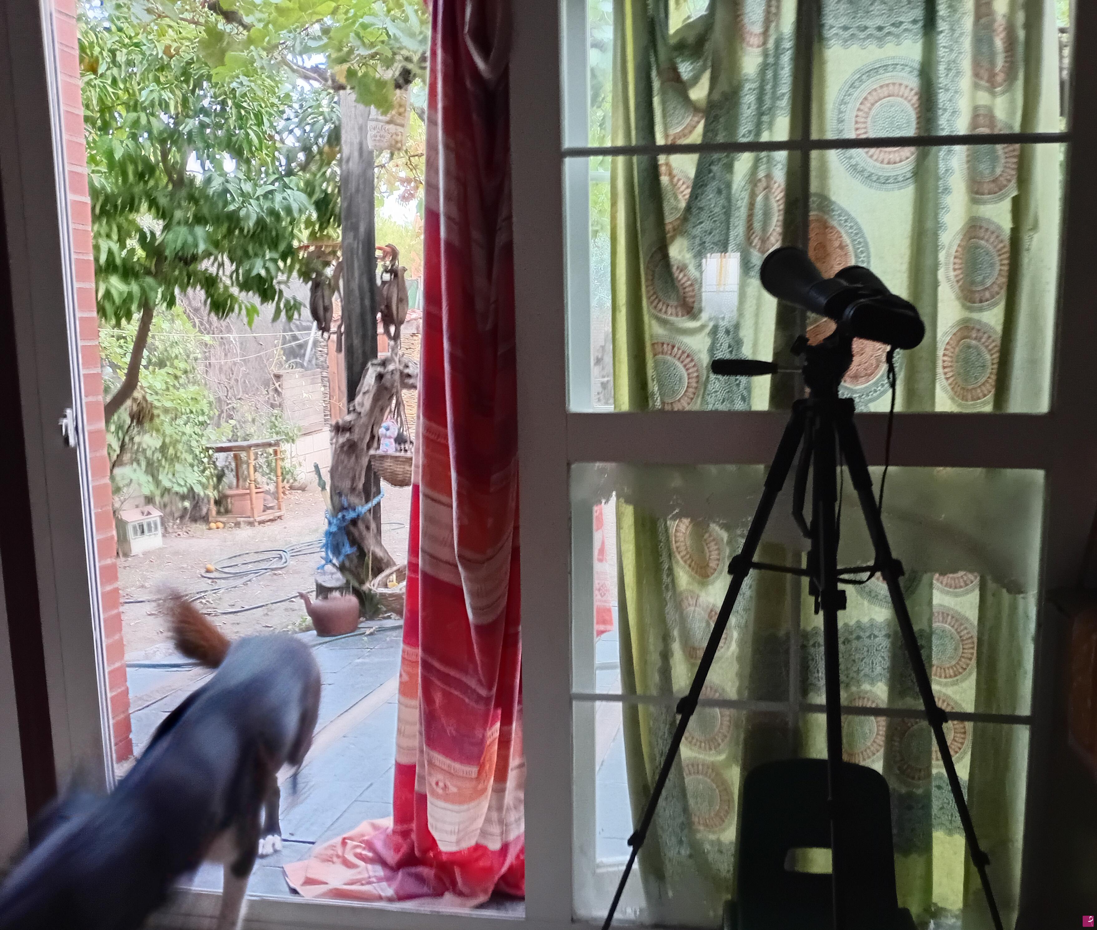 quadri in vendita online - Sucede