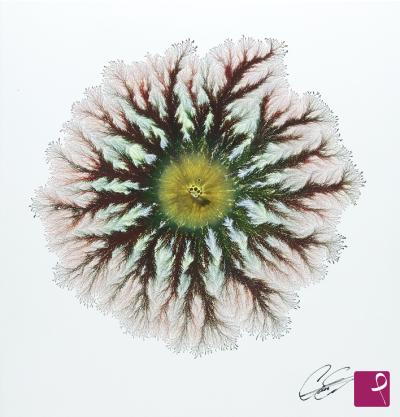 Quadro venduto su PitturiAmo