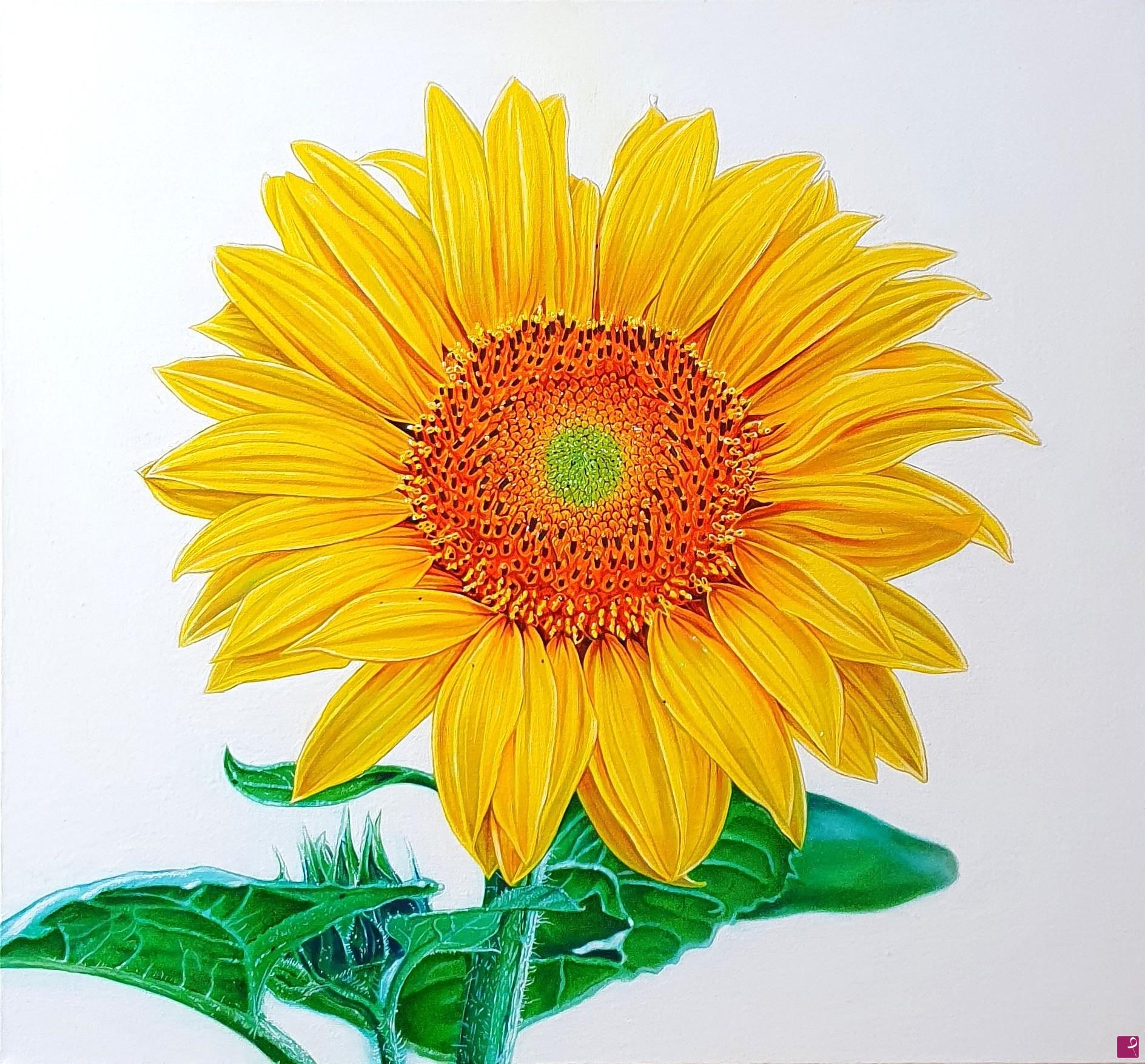 quadri in vendita online - "SUNFLOWER"