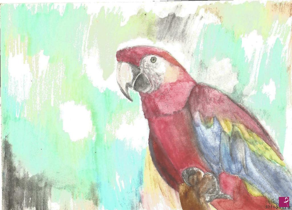 quadri in vendita online - surreal parrot