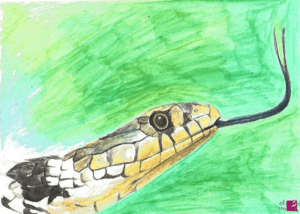 quadri in vendita online - surreal snake