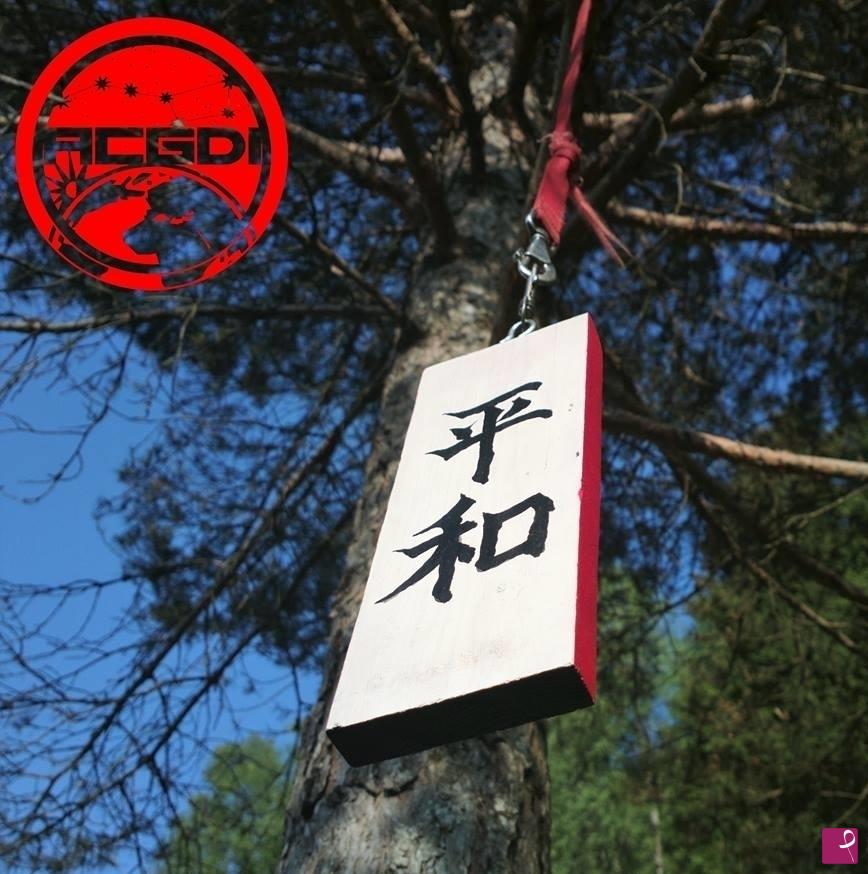quadri in vendita online - Targa del Dojo