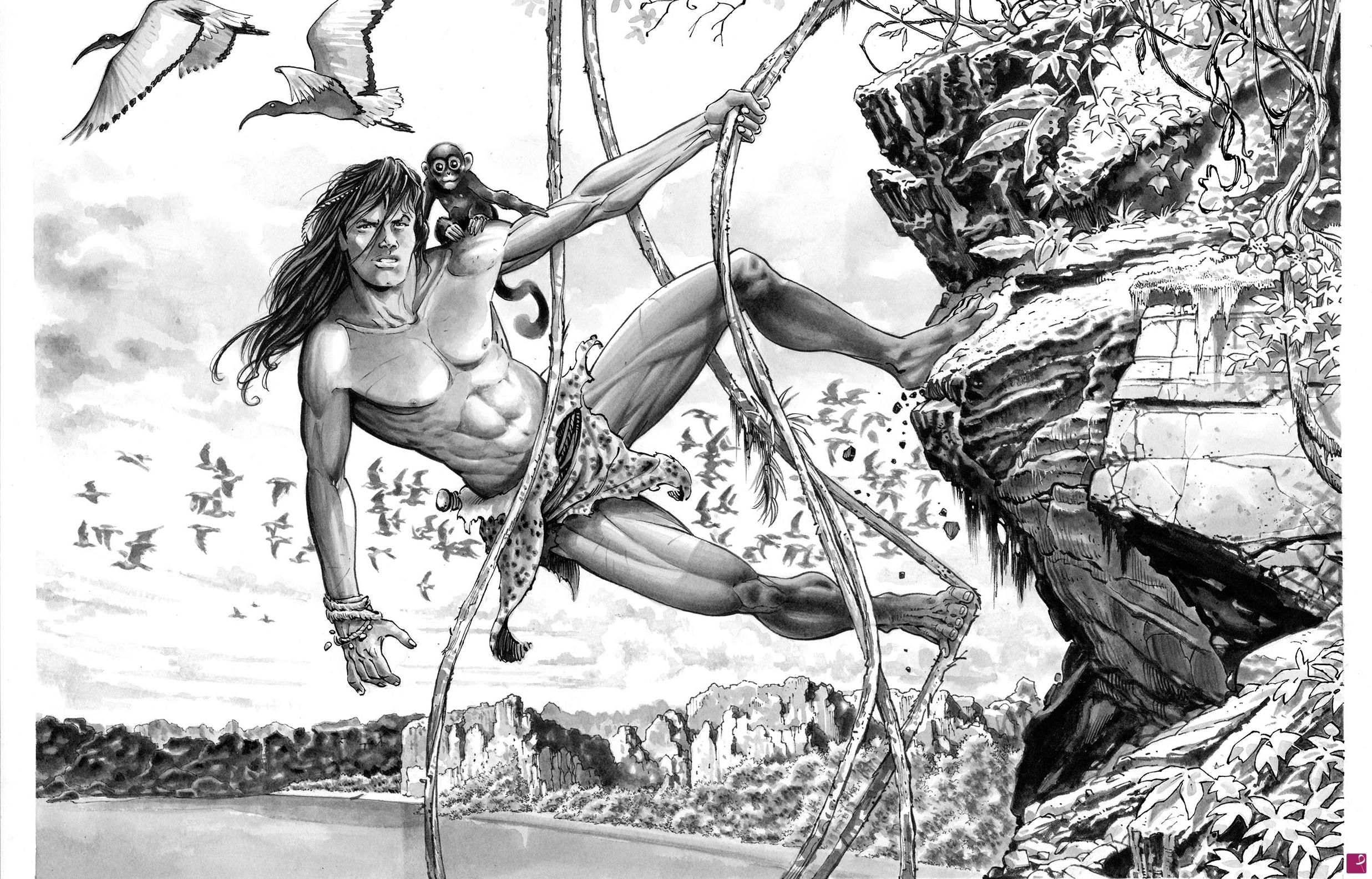 quadri in vendita online - TARZAN delle scimmie